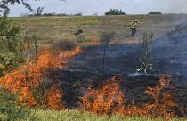Un incendio de malezas avanza a un costado de la autopista Rosario - Santa Fe en Barrancas , provincia de Santa Fe, Argentina, el martes.
