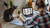 Was das Arbeiten im Homeoffice angeht, sind die Niederlande in der EU führend