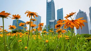 Visiting green spaces can be beneficial for a person's mental and physical health.