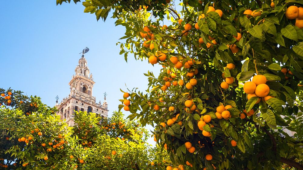 Visit  Andalusia for sun-drenched dunes and carnival culture