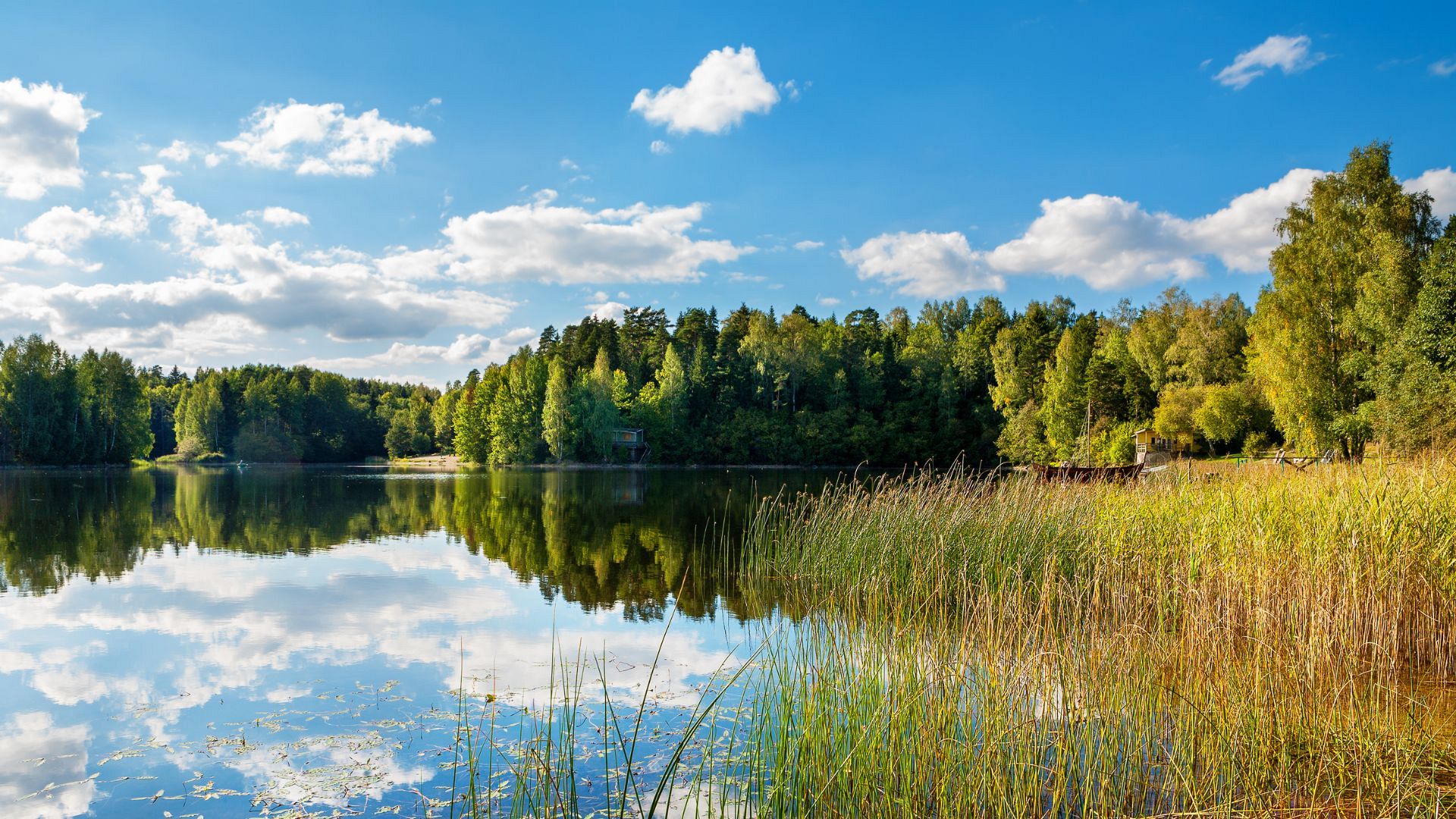 English protestors win the right to wild camp in Dartmoor. Where in