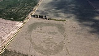 Le visage de Lionel Messi dans un champ de maïs
