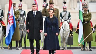 Почётный караул во время визита президента Хорватии в Будапешт, 20 января 2023 года.