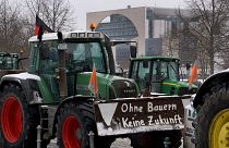 'No future without farmers' reads the slogan at a Berlin farmer protest on Saturday. 