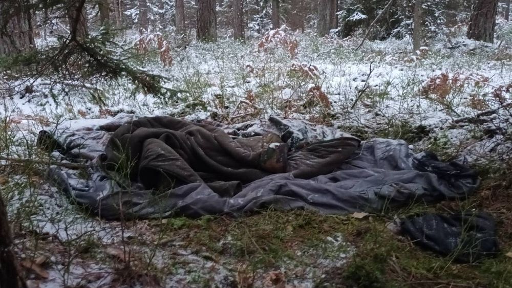 'There are bodies in the forest': Missing migrants worry activists on Lithuania-Belarus border