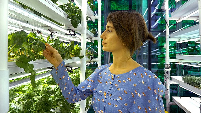 Tusya Garibashvili, co-founded 'Space Farms', an indoor farm based in Tbilisi, Georgia.