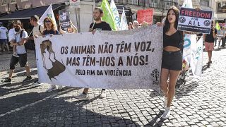 Manifestação pela defesa dos direitos dos animais (imagem de arquivo),