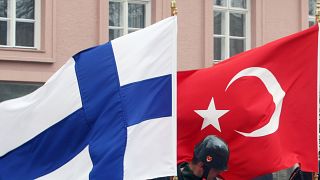 Finlandiya Türkiye bayrakları 