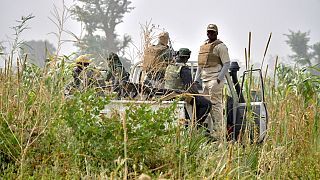 Niger : l'armée a tué une trentaine de "terroristes" ayant fui le Nigeria