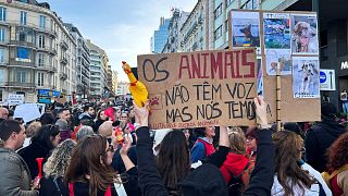 People demonstrate for animal rights in Lisbon, Portugal, 21 January 2023. 