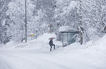 Последствия снегопада в Словении