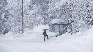 Последствия снегопада в Словении
