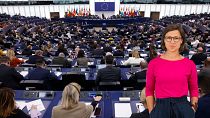 هانا نویمان و پارلمان اروپا