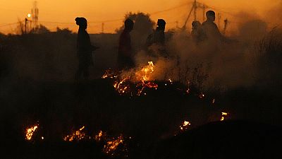 Heatwave kills eight in South Africa - Govt