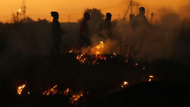 Heatwave kills eight in South Africa - Govt | Africanews