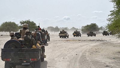 11 terrorists killed, 6 arrested - Nigerien army