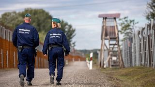 گشت مرزی در مرز مجارستان و صربستان، ۲۰۲۲