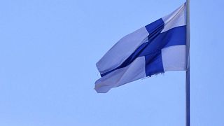 Finlandiya bayrağı 