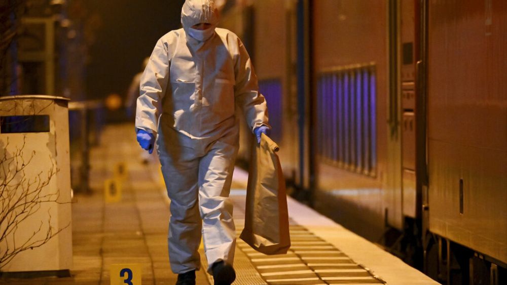 Nouvelle attaque au couteau en Allemagne : deux morts et des blessés dans un train régional