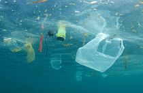 Millions of tonnes of plastic spew into the world's oceans every single year. 