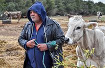 مزرعة التونسي محمد غرسلاوي 