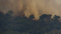 كثرت الحرائق مؤخراً في غابات الأمازون 