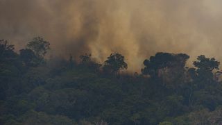 كثرت الحرائق مؤخراً في غابات الأمازون