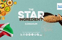 The Star Ingredient. Episode 4.