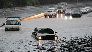 Vehicles are stranded by flood water in Auckland, Saturday, Jan 28, 2023.