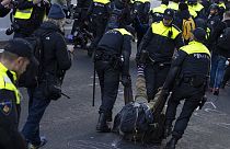 Klímatüntetőt visznek el a hágai rendőrök