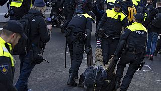 Police detained protestors after Extinction Rebellion activists and sympathisers blocked a busy road in The Hague.