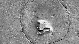 Uydu fotoğrafına belli bir açıdan bakıldığında kaya oluşumu ayı yüzünü andırıyor