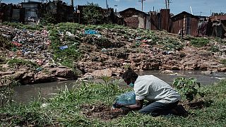 Kenya : la rivière Nairobi, polluée par les eaux usées 