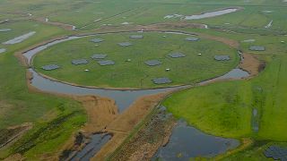 LOFAR: el mayor telescopio paneuropeo de radiofrecuencia