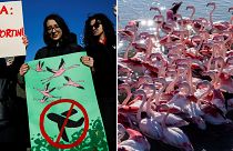 Protests broke out in Albania on Saturday against a new airport being built in close proximity with a bird sanctuary.