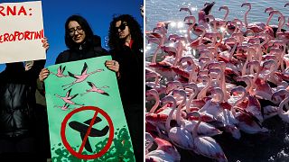 Protests broke out in Albania on Saturday against a new airport being built in close proximity with a bird sanctuary.