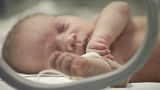 A newborn baby in the neonatal intensive care unit in Bucharest, Romania - 2012 archive