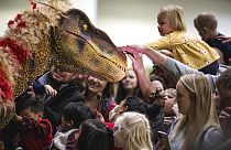 Dinosaurier faszinieren die Kinder