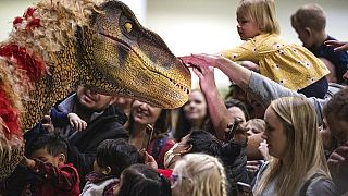 Dinosaurier faszinieren die Kinder