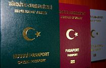 Schengen vize başvurularının dijitalleşmesi teklifi AP'de kabul gördü