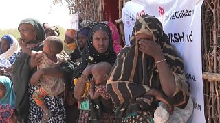 22 million people at risk of hunger in horn of Africa due to drought