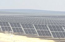 تقع محطة الظفرة للطاقة الشمسية الكهروضوئية في الصحراء