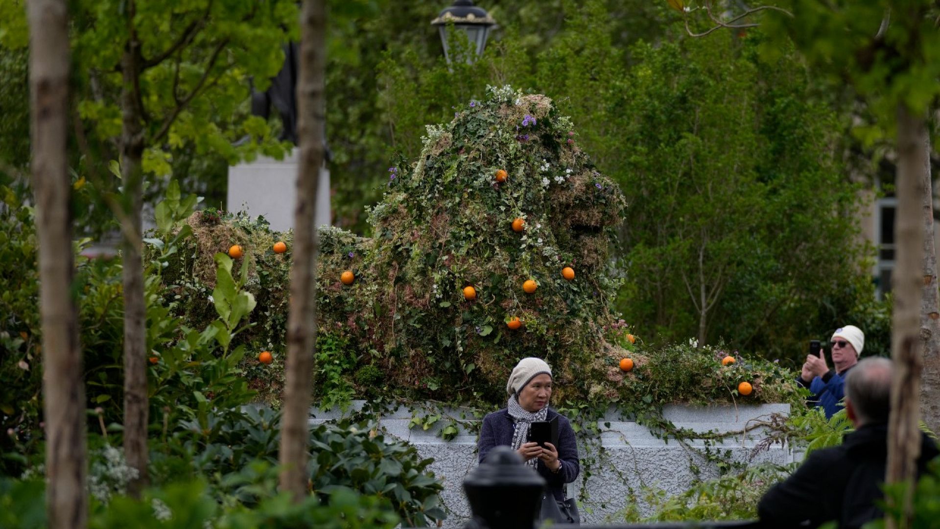 دراسة: زرع الأشجار في المدن قد يخفّض ثلث معدّل الوفيات | يورونيوز