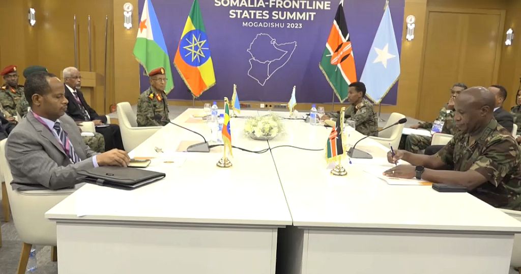 Somalia: regional leaders meet to discuss fight against Al-Shabaab