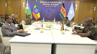 Somalie : sommet régional pour discuter de la lutte contre Al-Shabaab