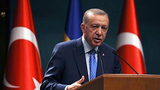 رجب طیب اردوغان، رییس جمهوری ترکیه