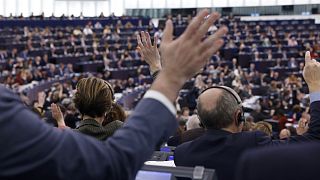 Members of the European Parliament vote at the European Parliament, Jan. 17, 2023 in Strasbourg, eastern France. 