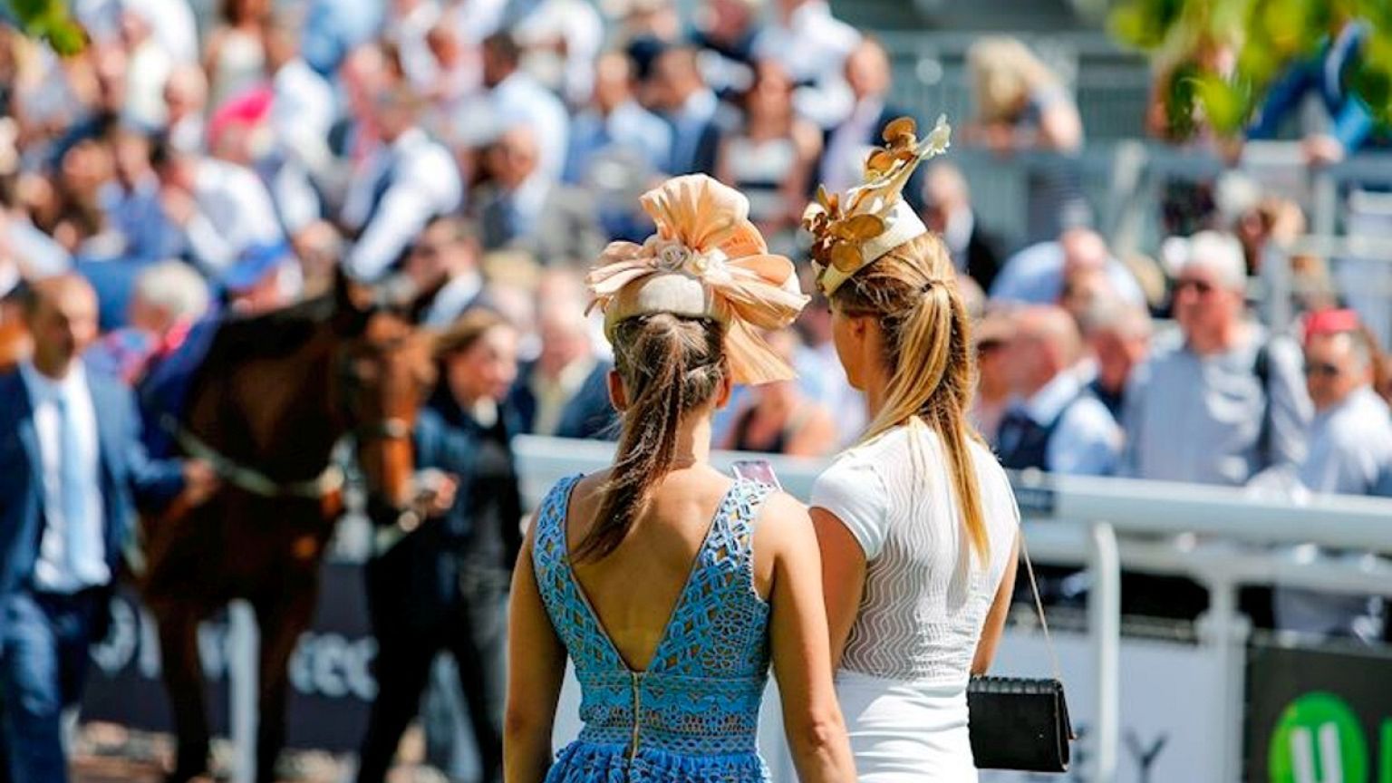 a dress for the races