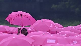 College students hold umbrellas to make a formation of pink ribbon during a breast cancer awareness campaign in Chennai.