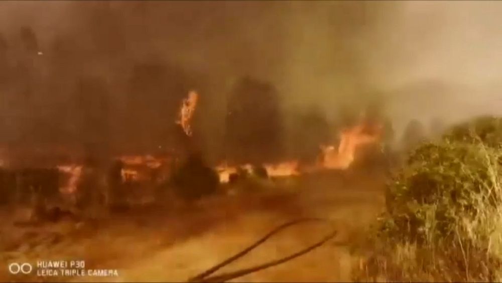 At least 13 people dead from Chile's raging wildfires